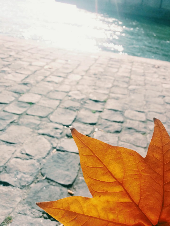autumn in paris