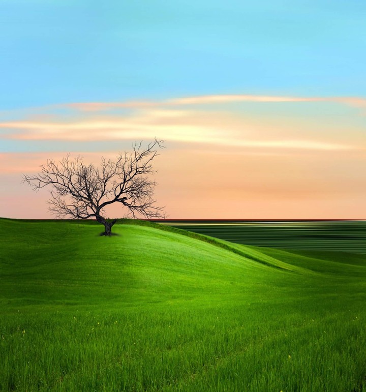lanscape