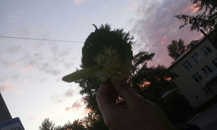 лето