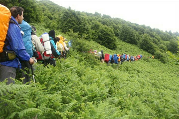 Jungle trekking
