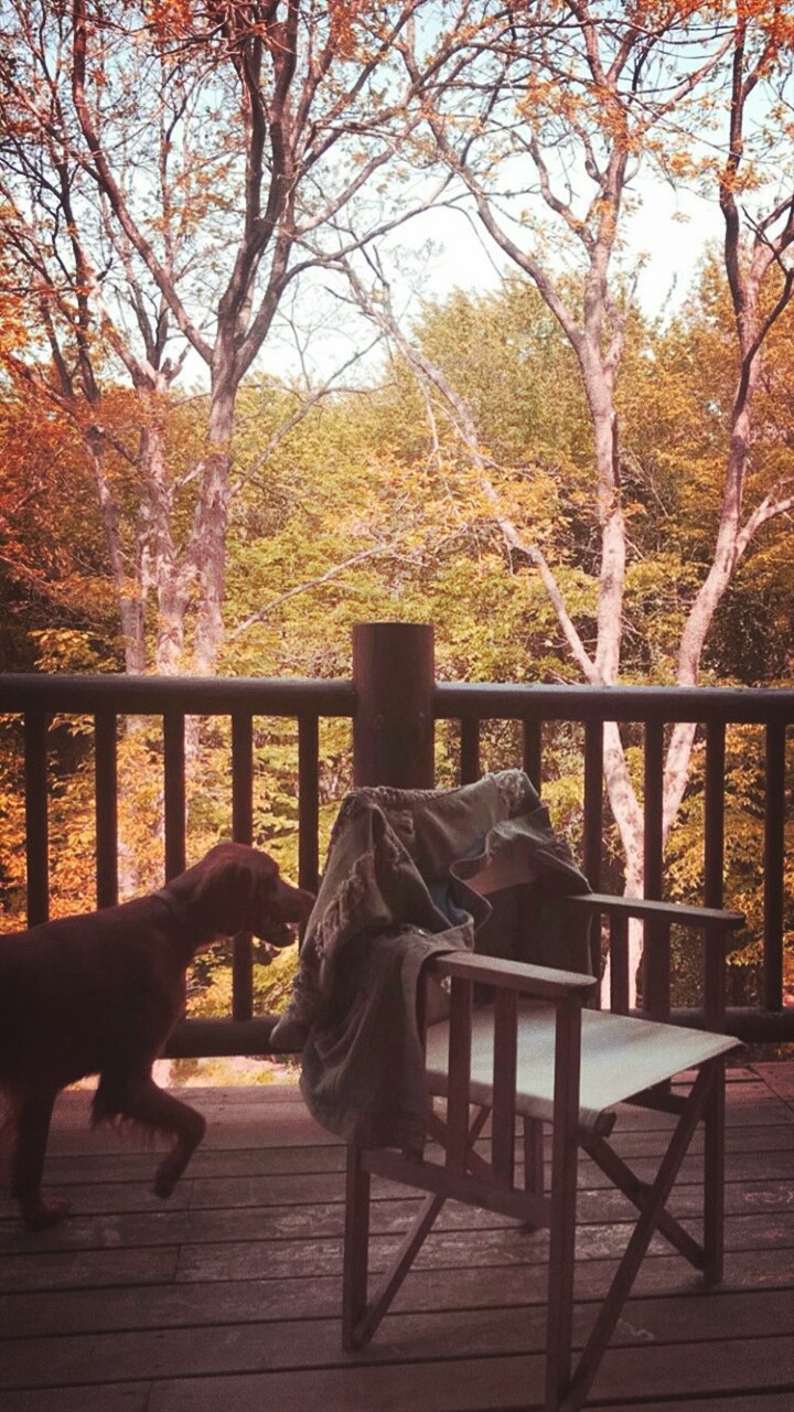 huzur