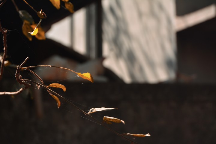 :):)
