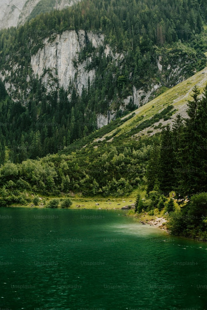 sfondi Wilderness, watercourse