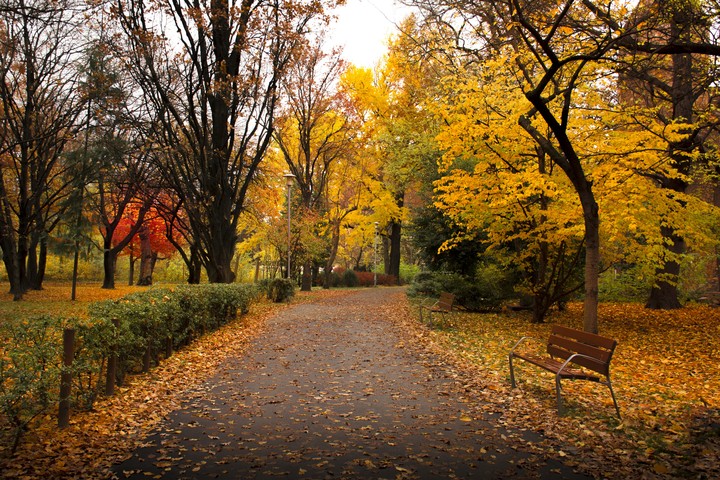 Autumn
