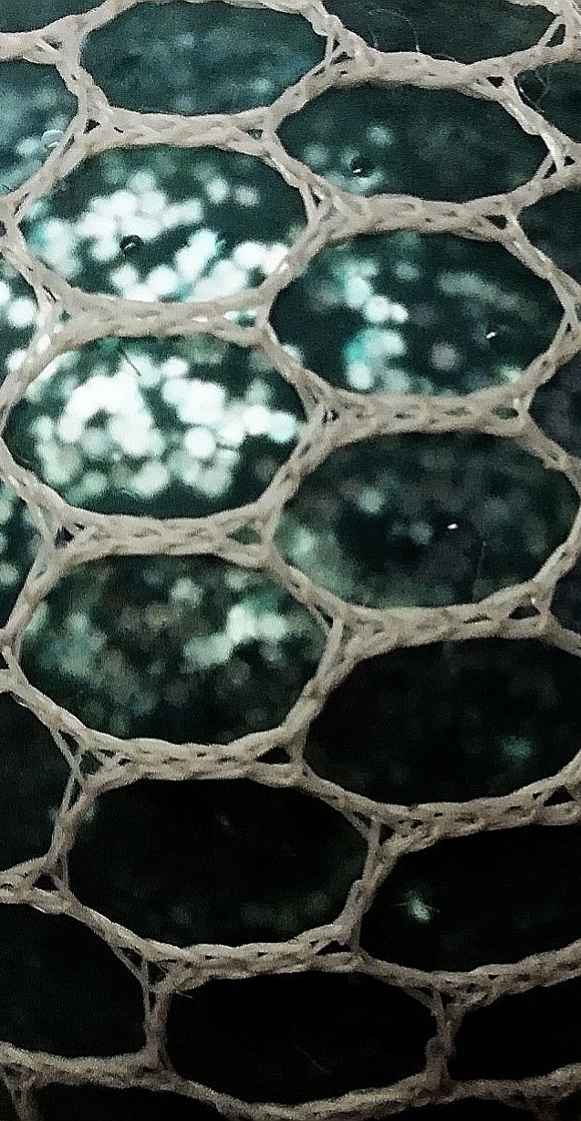 clear border