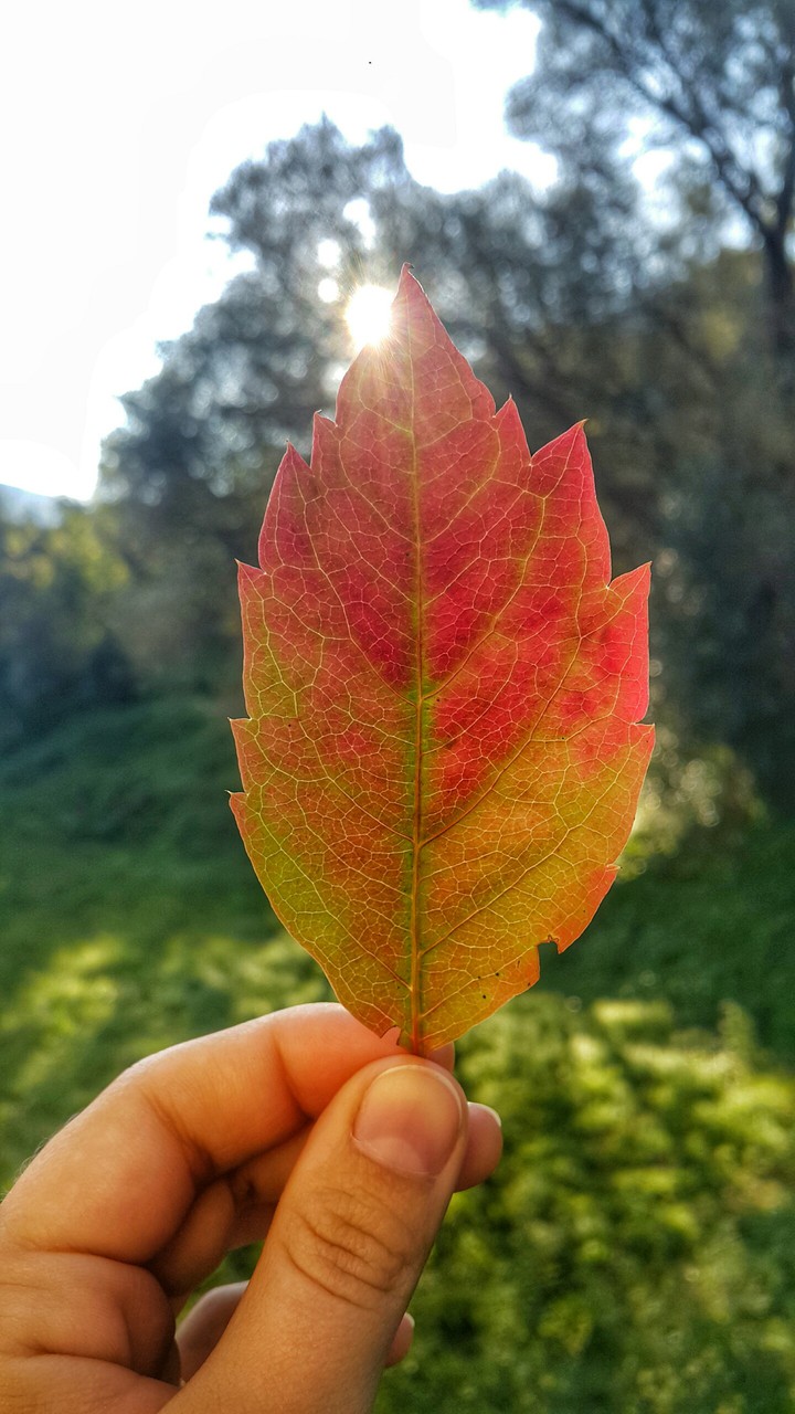 Hello autumn!