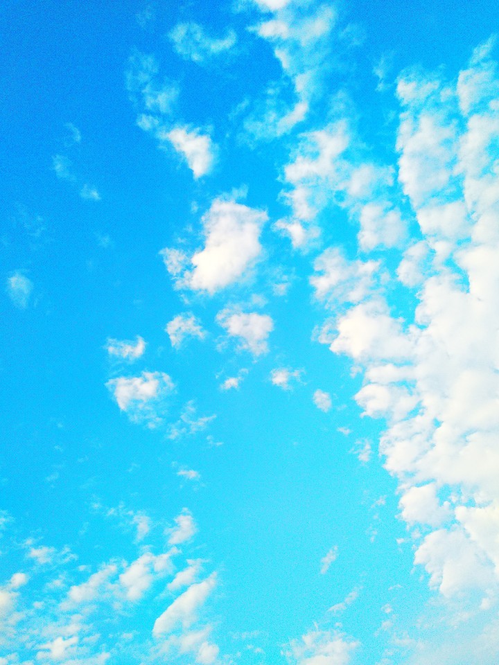 Summer Mornings!