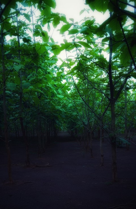 scenic beauty 5