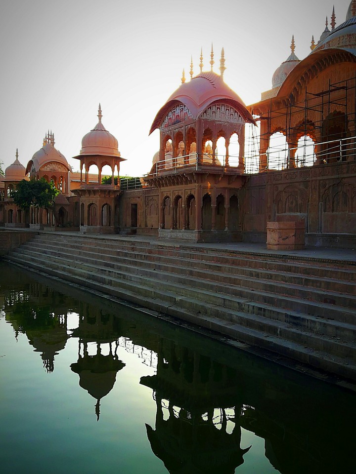 Relections