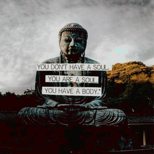 you are a soul