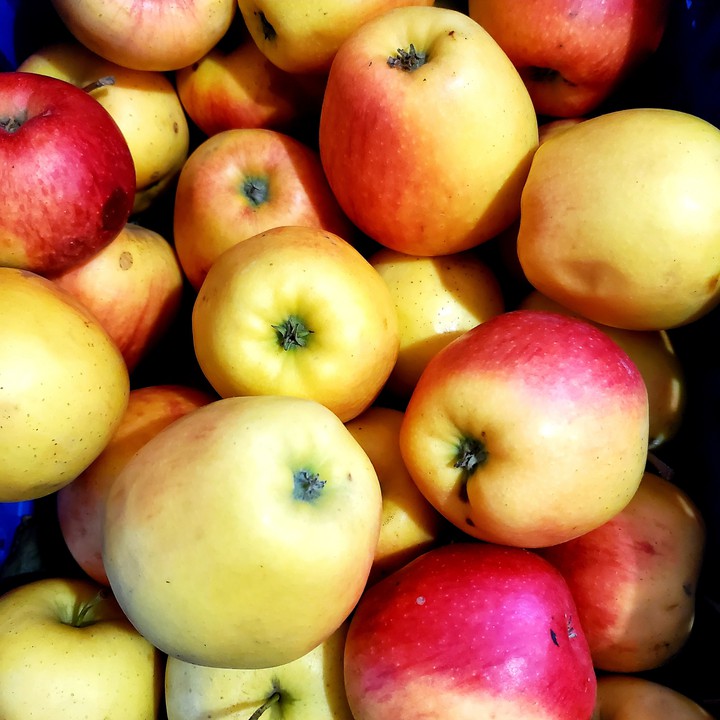 apples