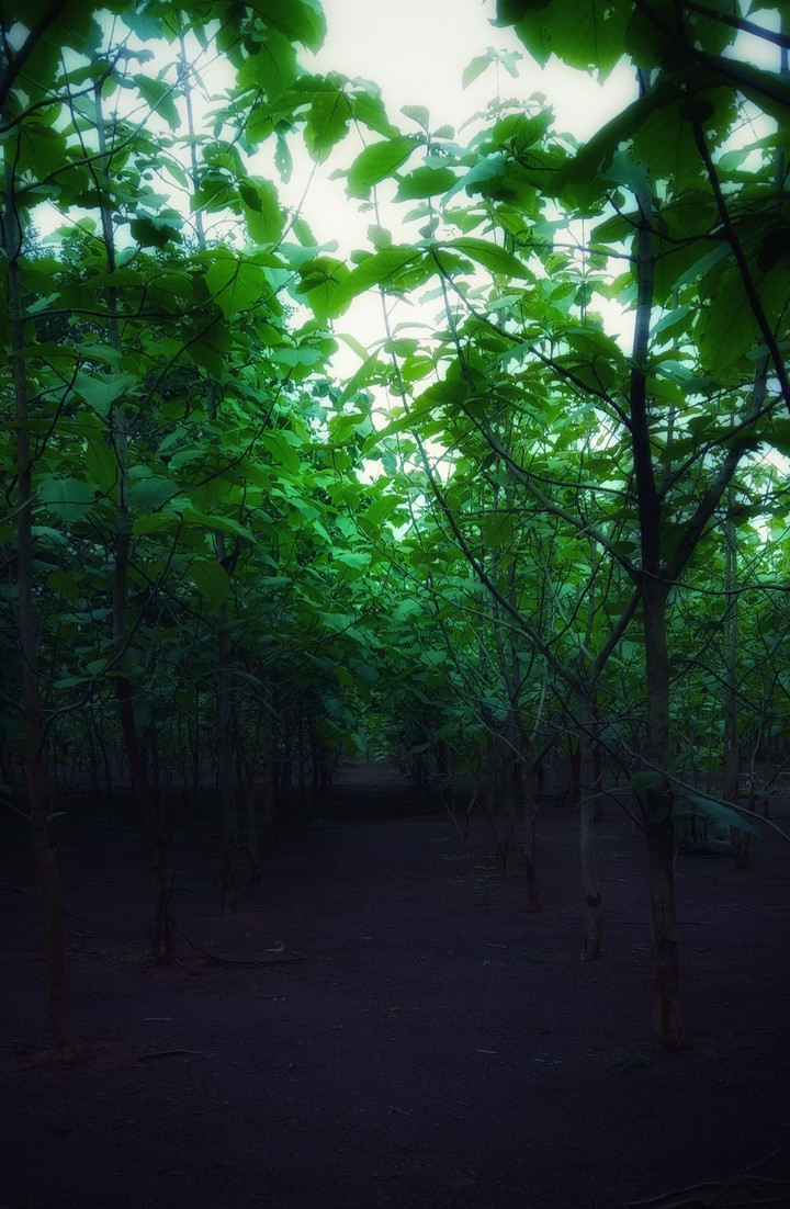 scenic beauty 5