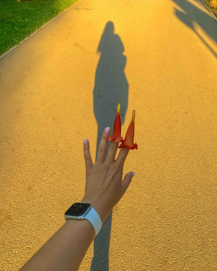 touch the shadow