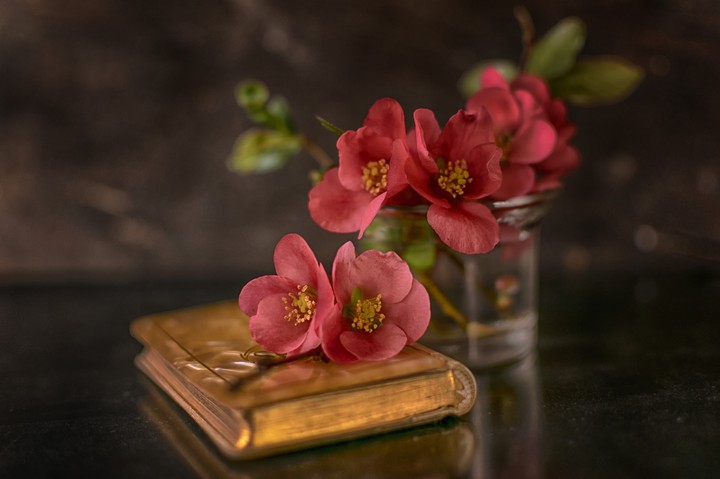 Stilllife
