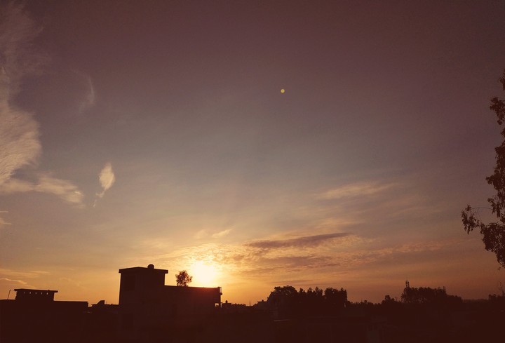 Have You Ever Think That Sun Gives Us Light For No Cost...