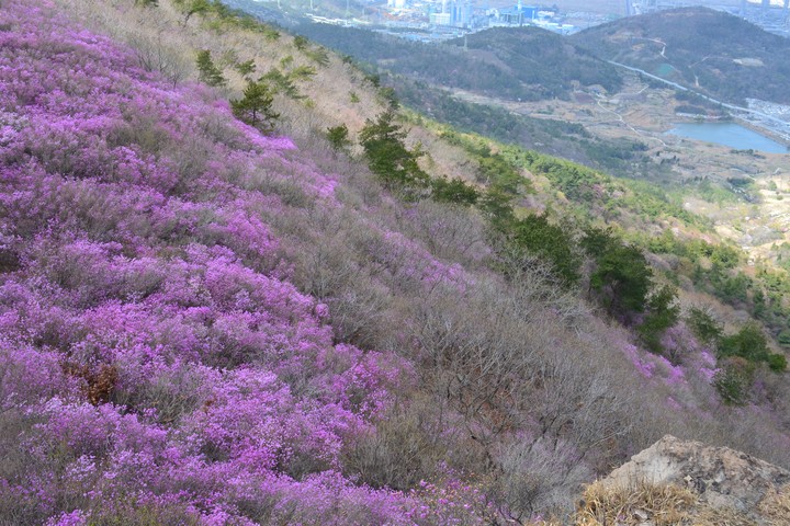 영취산이미지