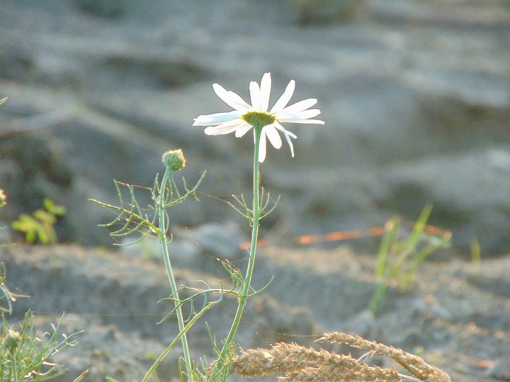 lonely