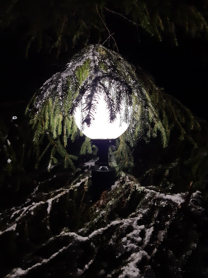 night