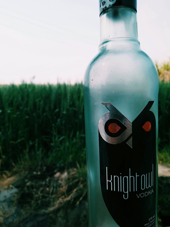 knight owl