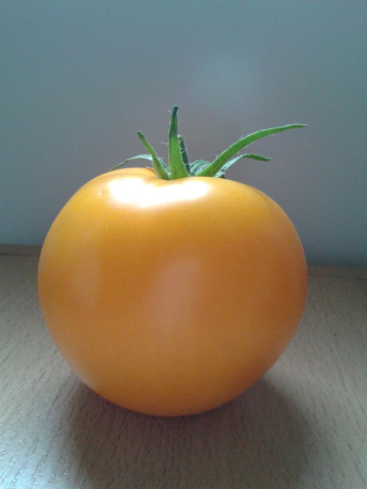 gelbe Tomate