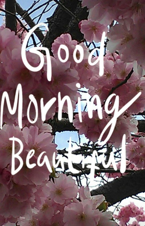 blossom with quote