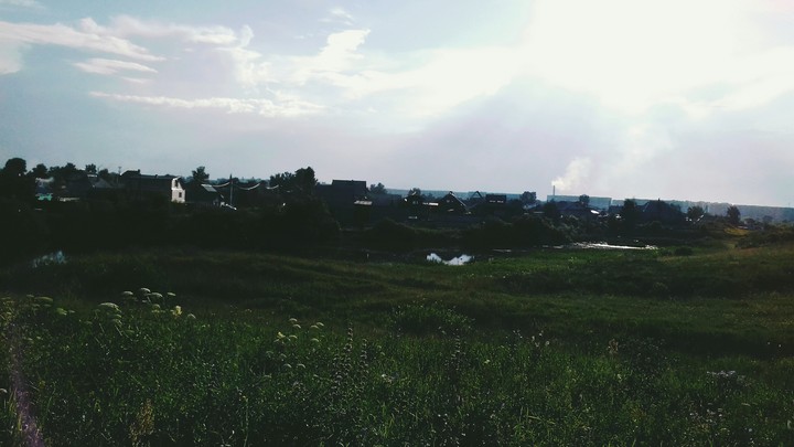 field