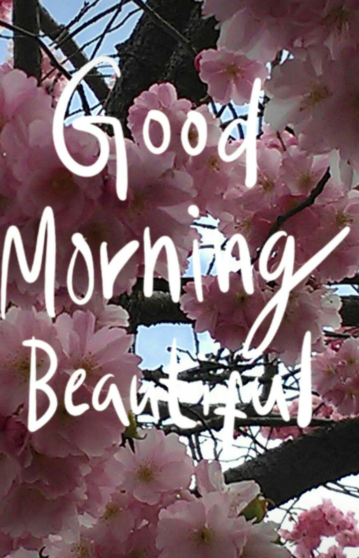 blossom  with quote