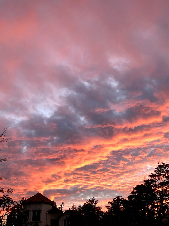 Orange Sky