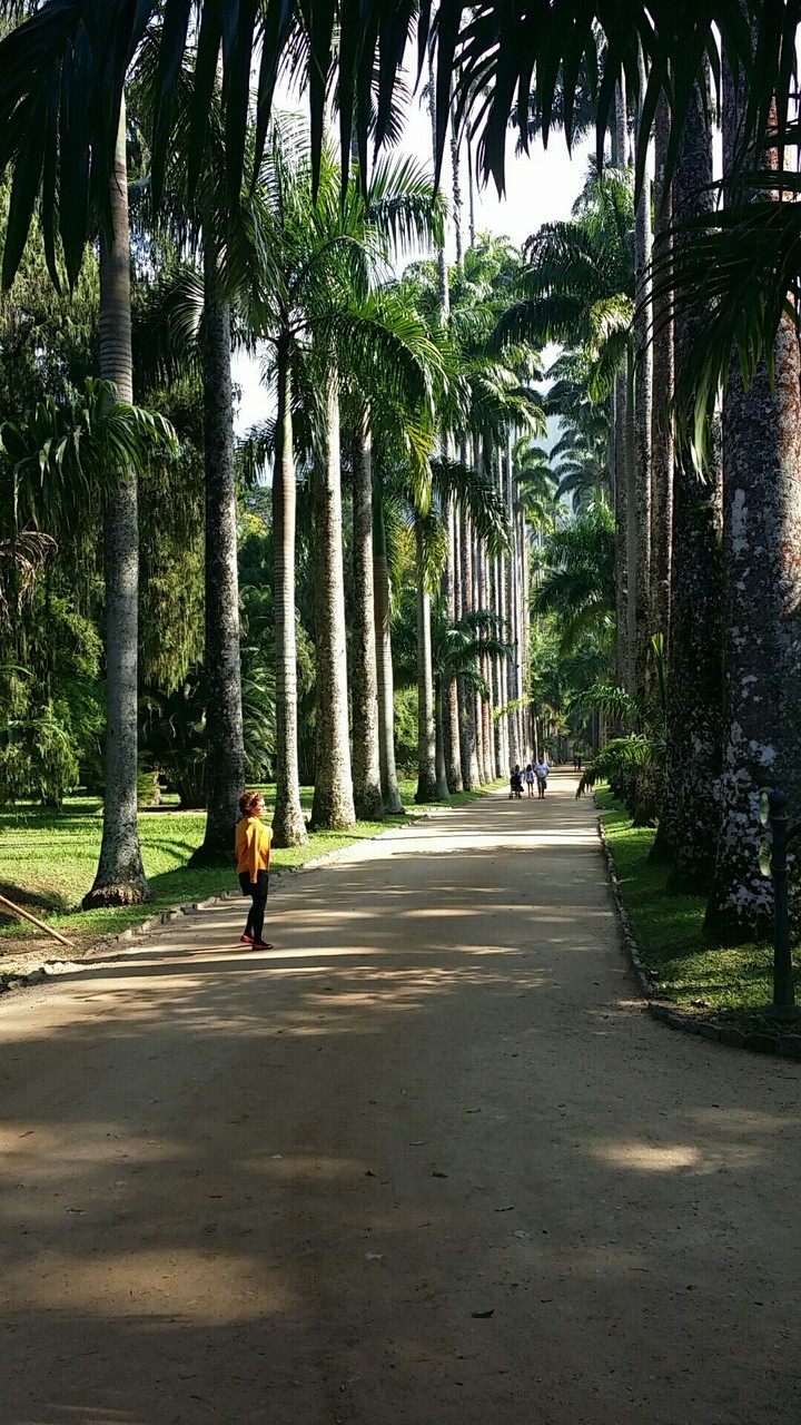 Jardim Botânico / Rio de Janeiro / Brasil