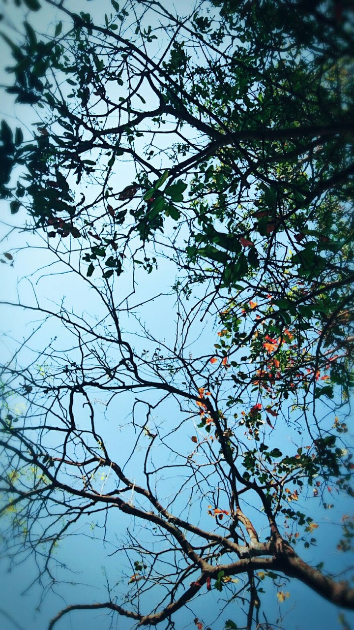 morning