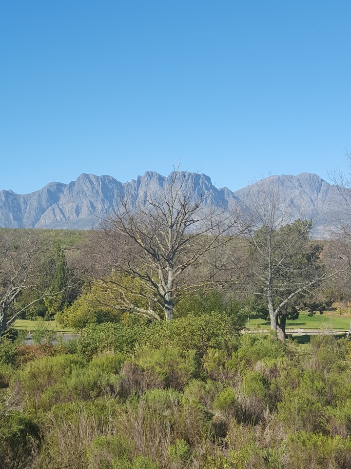 Mountains in the yard