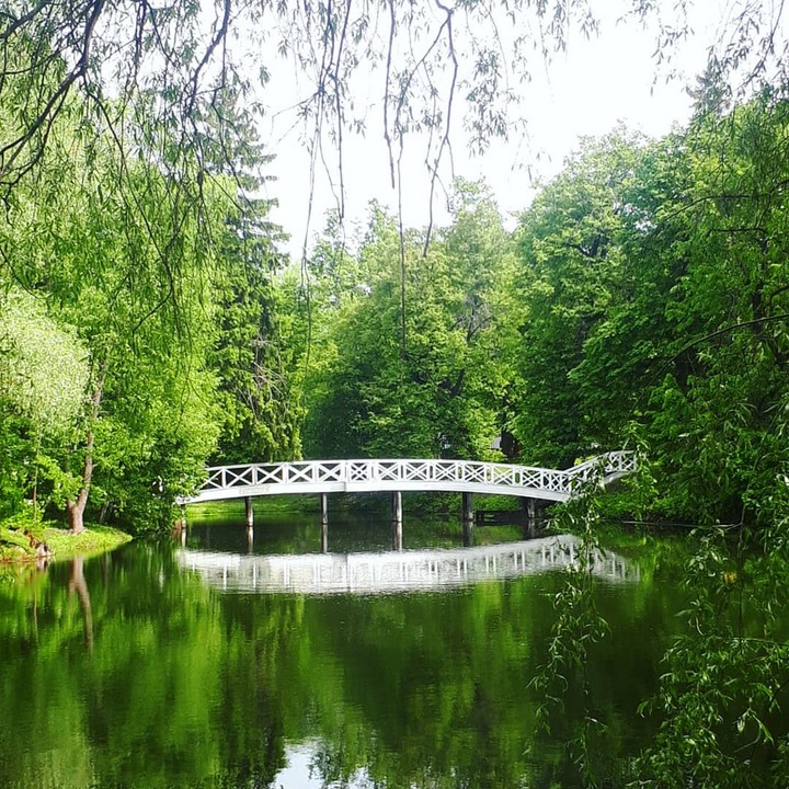 Bridge