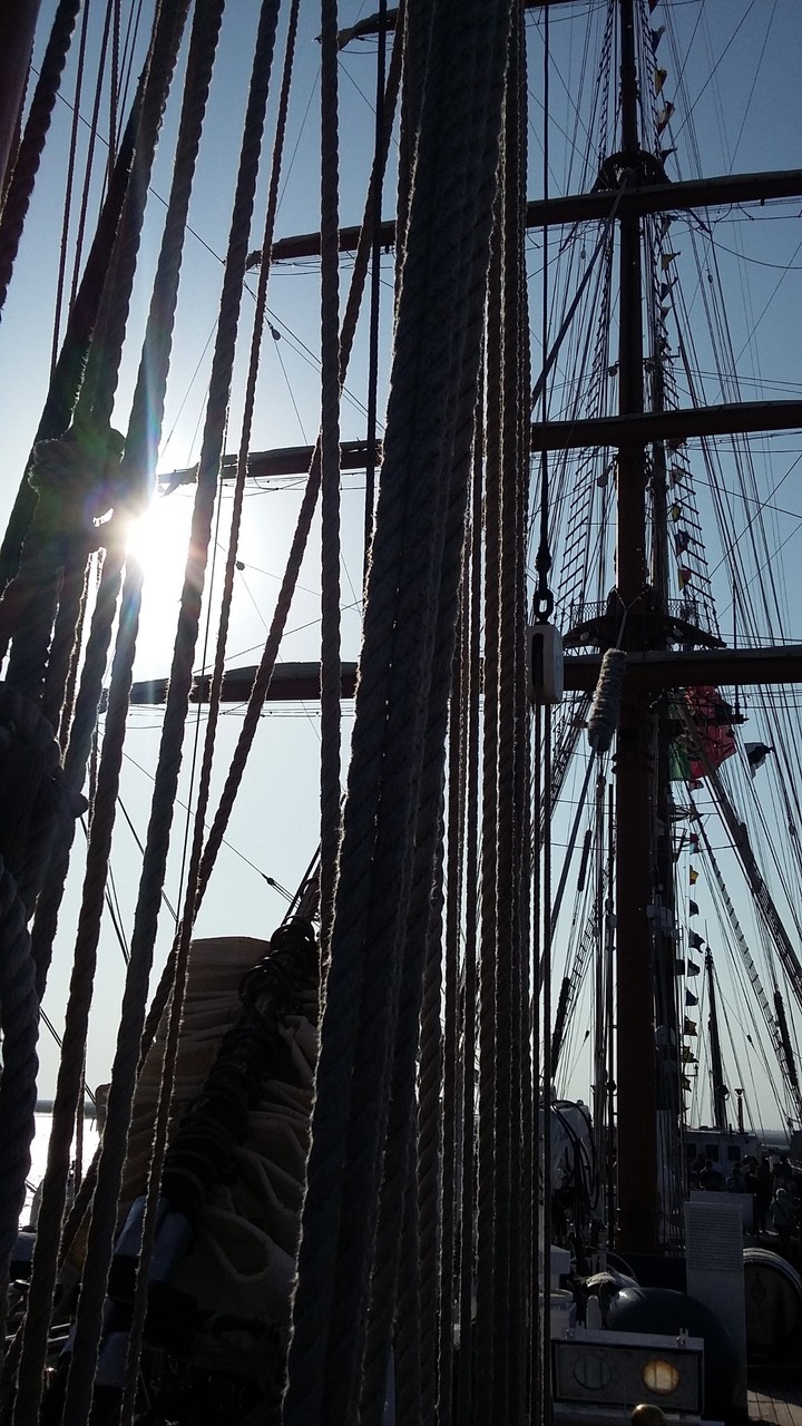 Navio Escola Sagres