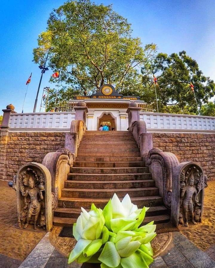 shemaha bidiya  from anurad purya   srilanka