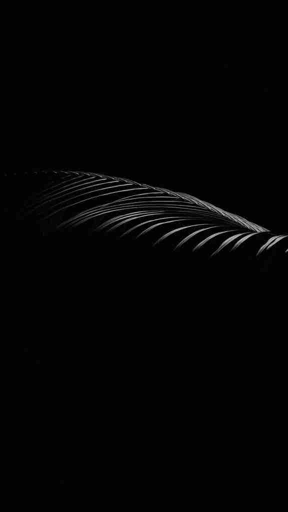 black backgrounds