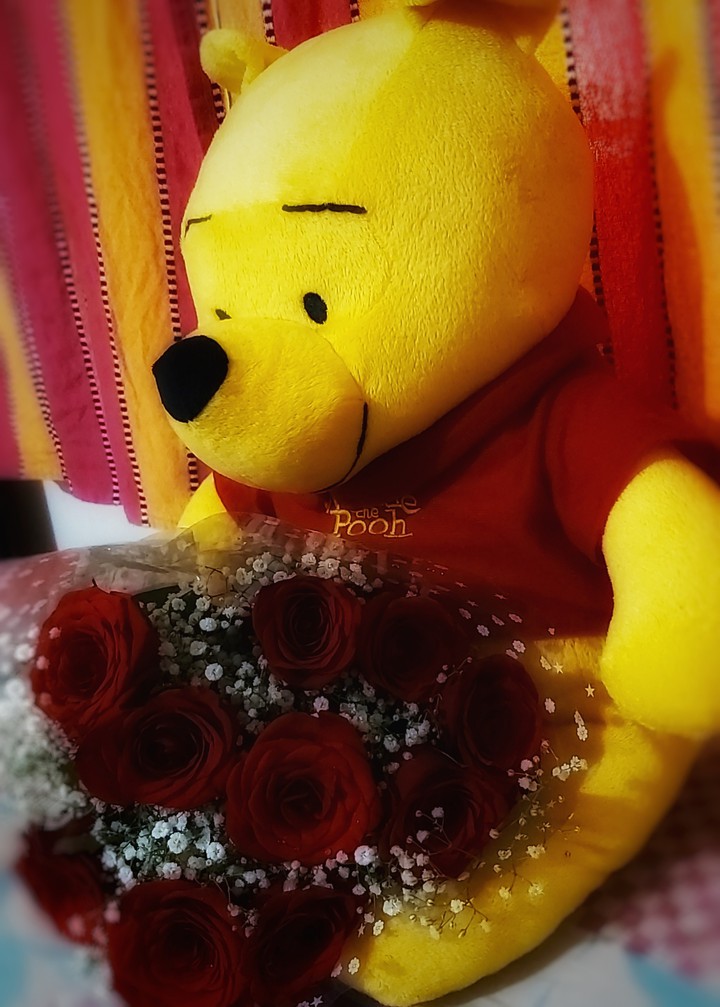 Teddy