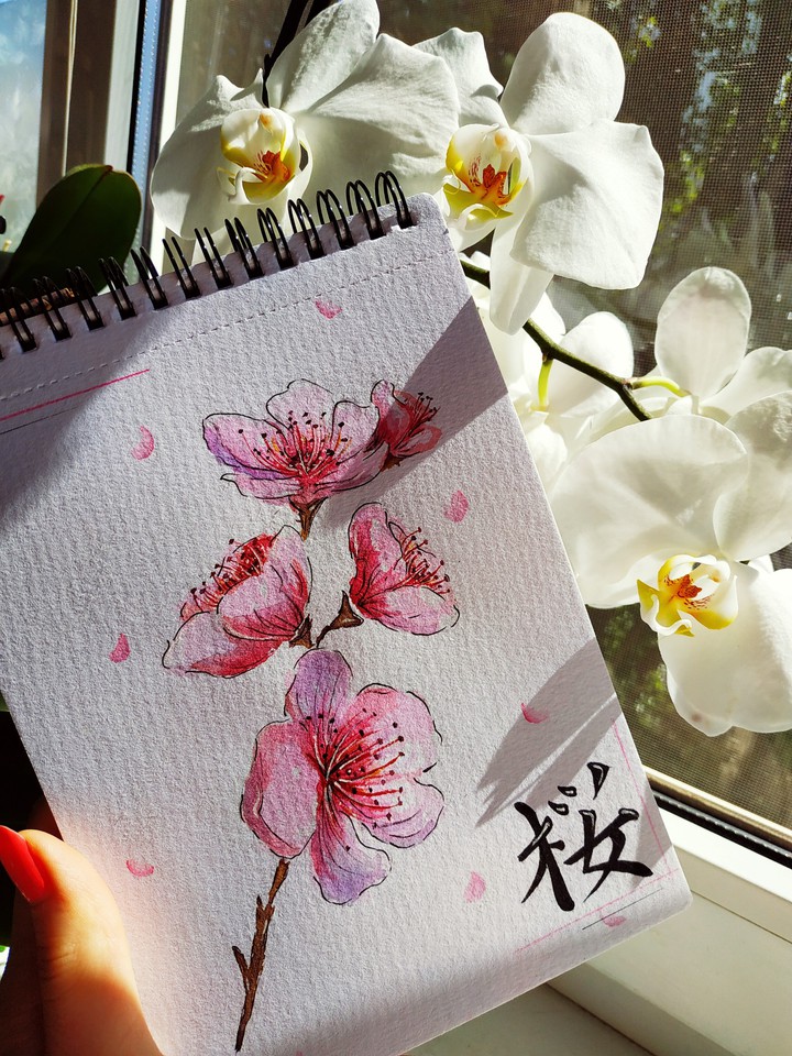 Sakura sunshine
