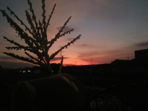 sunset in java