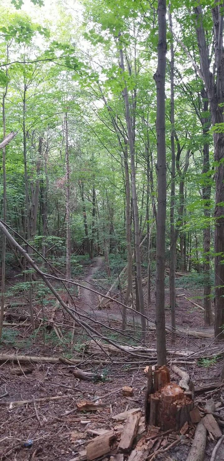 Nature trail