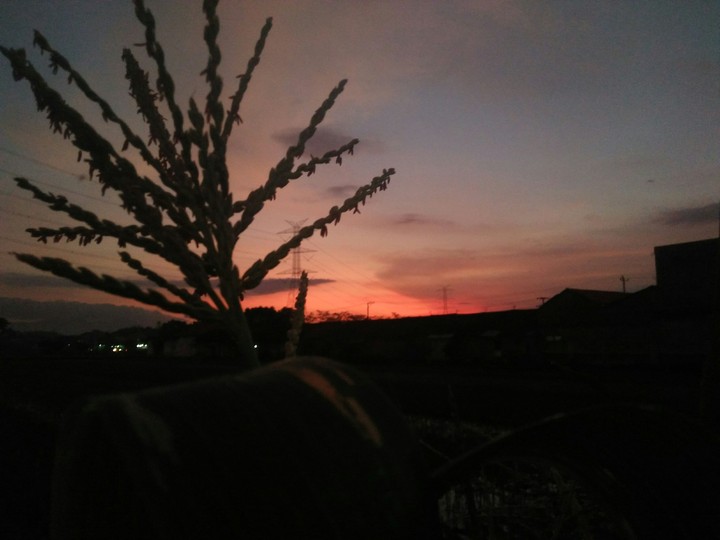 sunset in java