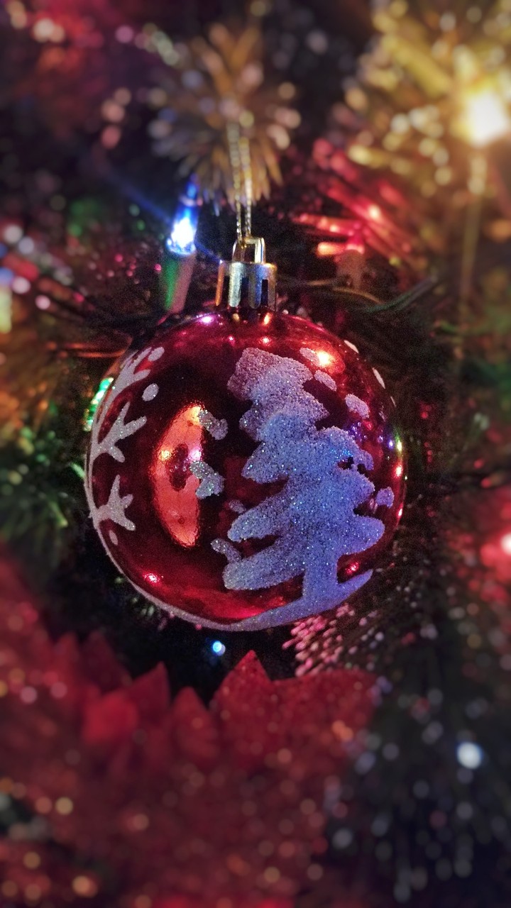 Christmas Ornament