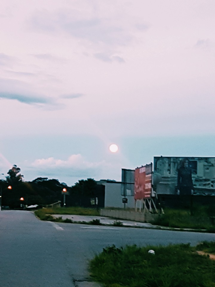 moonlight