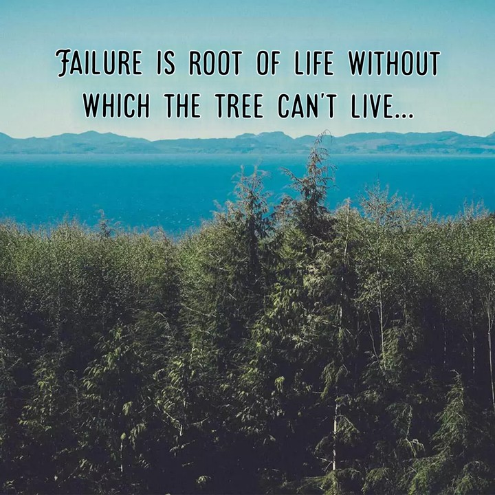 Inspirational quotes