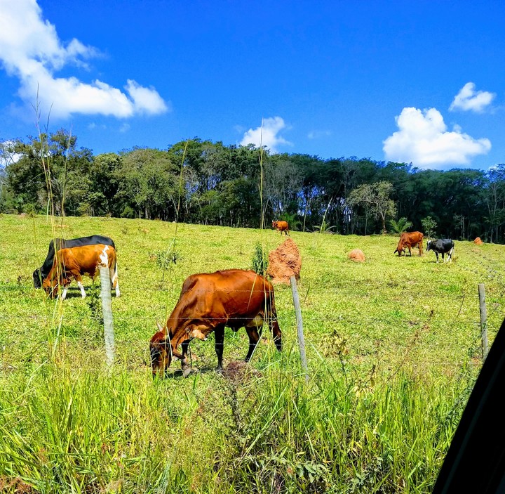 Rio Manso - MG