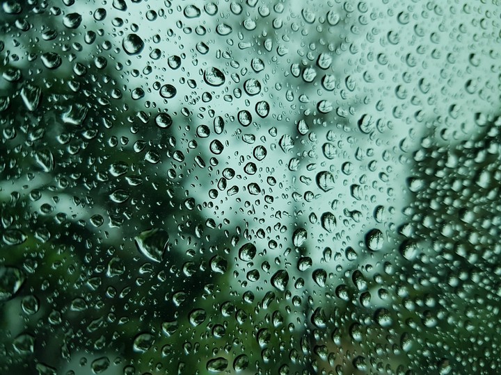 비(rain)