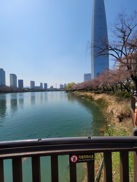 seoul, Water壁纸