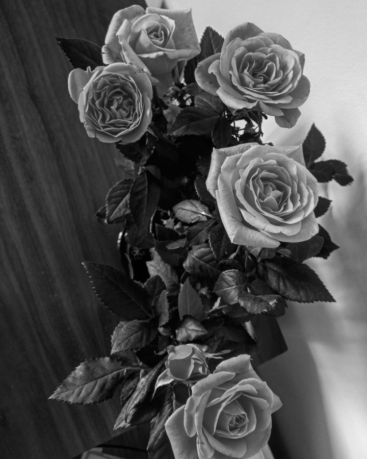 Some shades of grey
