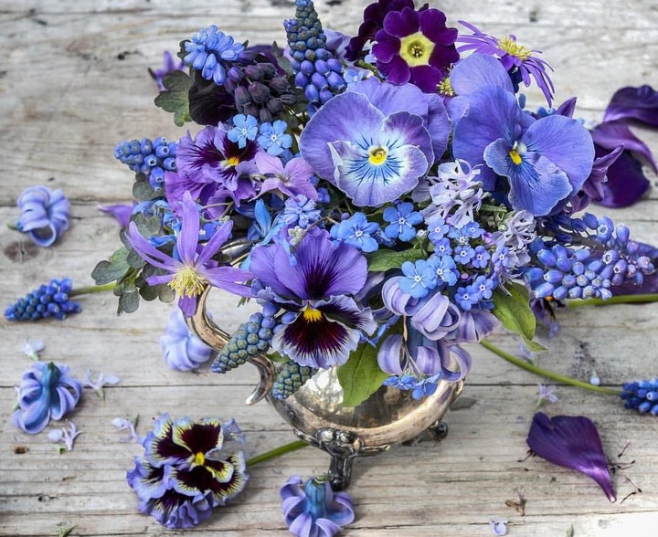 purple