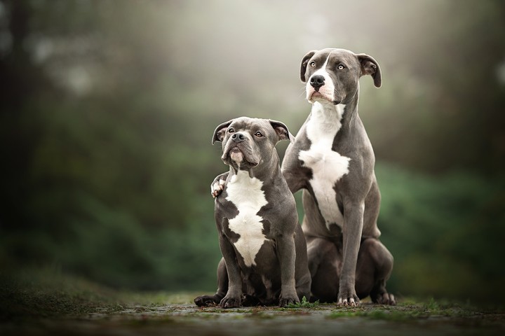 freinds