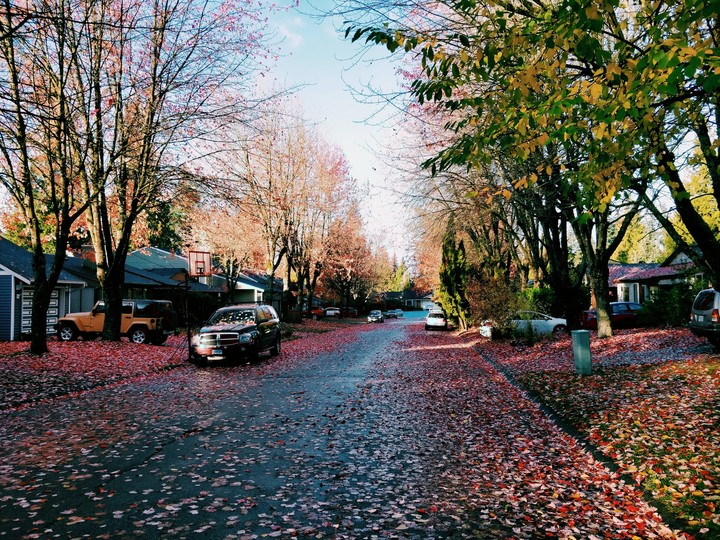 city